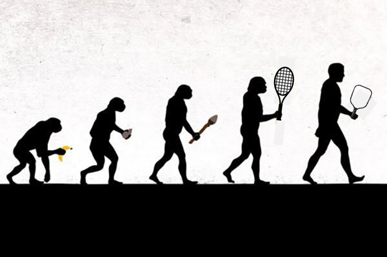 The Evolution of Pickleball Equipment: From Wood to HEX